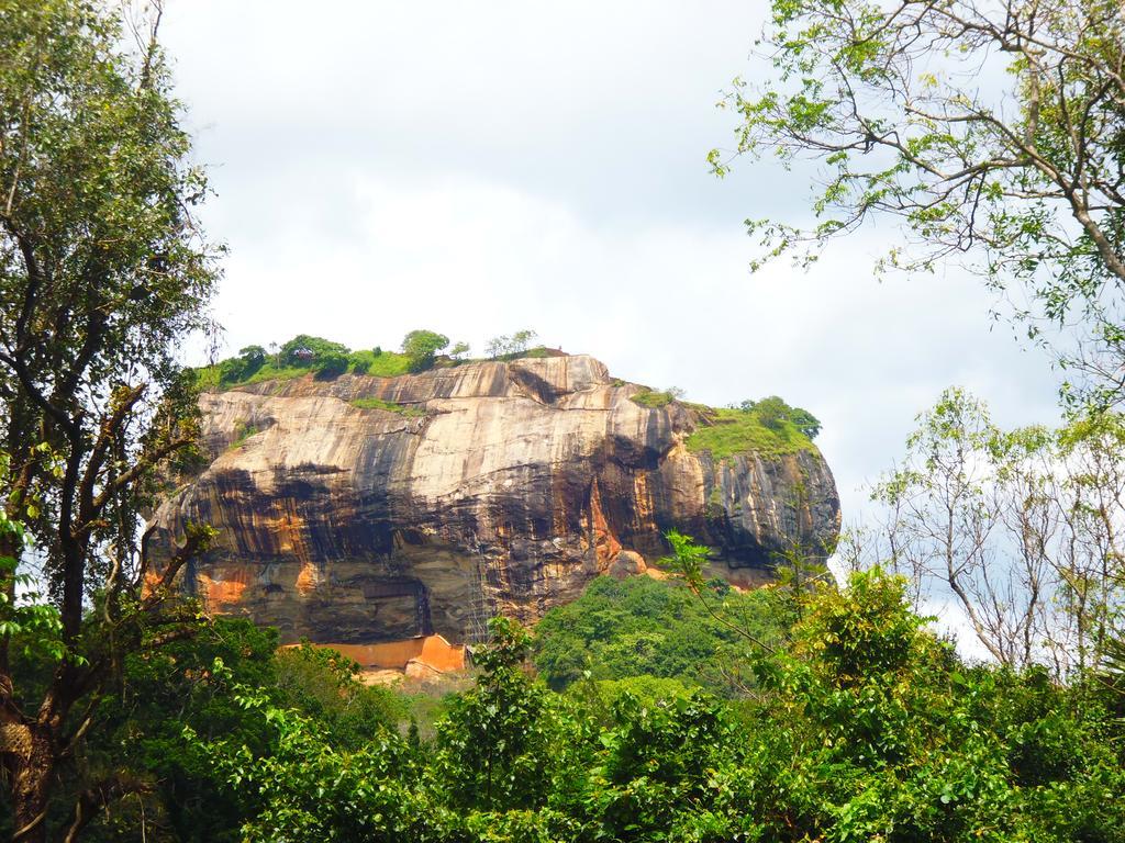 The Nilmini Lodge สิกิริยา ภายนอก รูปภาพ