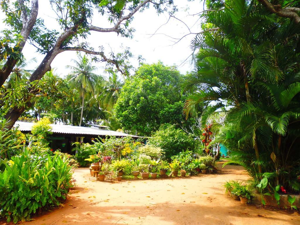 The Nilmini Lodge สิกิริยา ภายนอก รูปภาพ