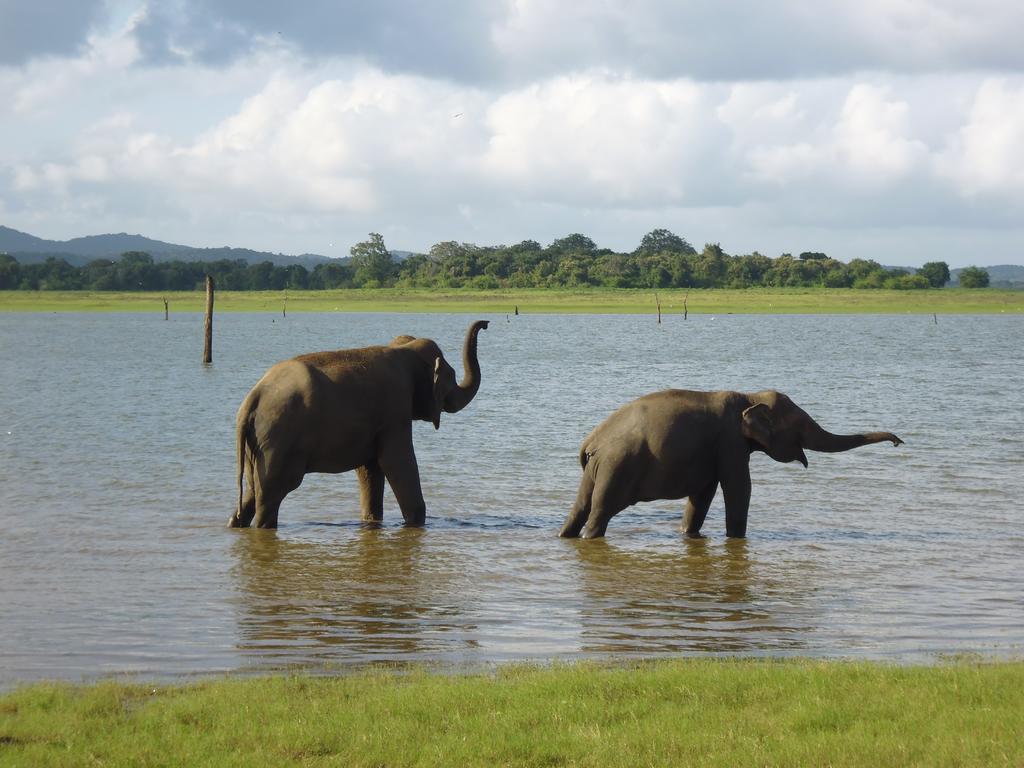 The Nilmini Lodge สิกิริยา ภายนอก รูปภาพ